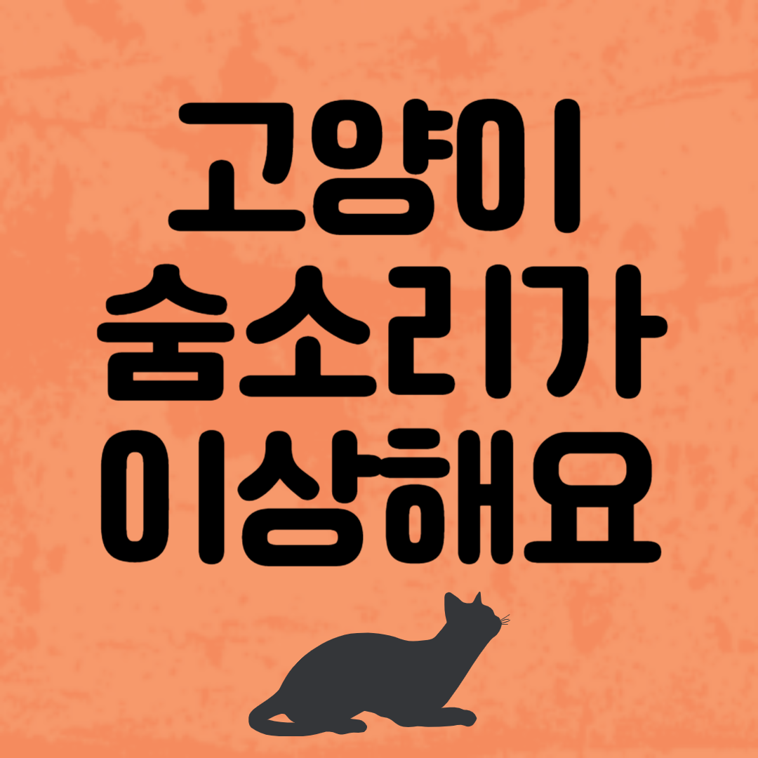 고양이 숨소리